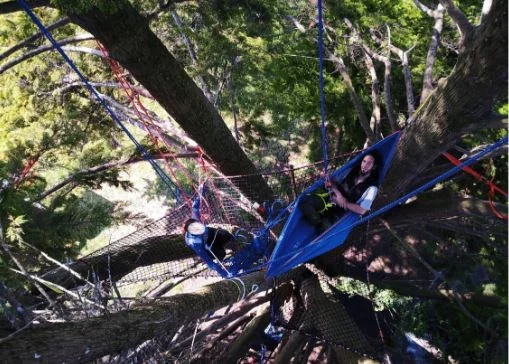 Atelier innovant primé - Prix Équipes Soignantes en Santé Mentale