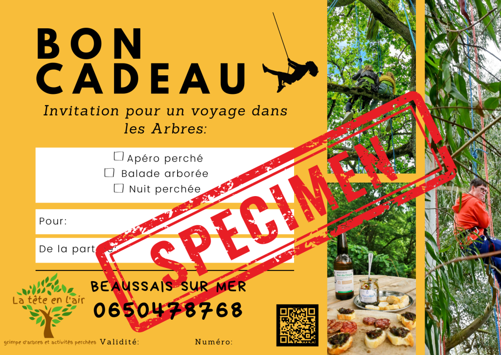 Spécimen bon cadeau - La tête en l'air