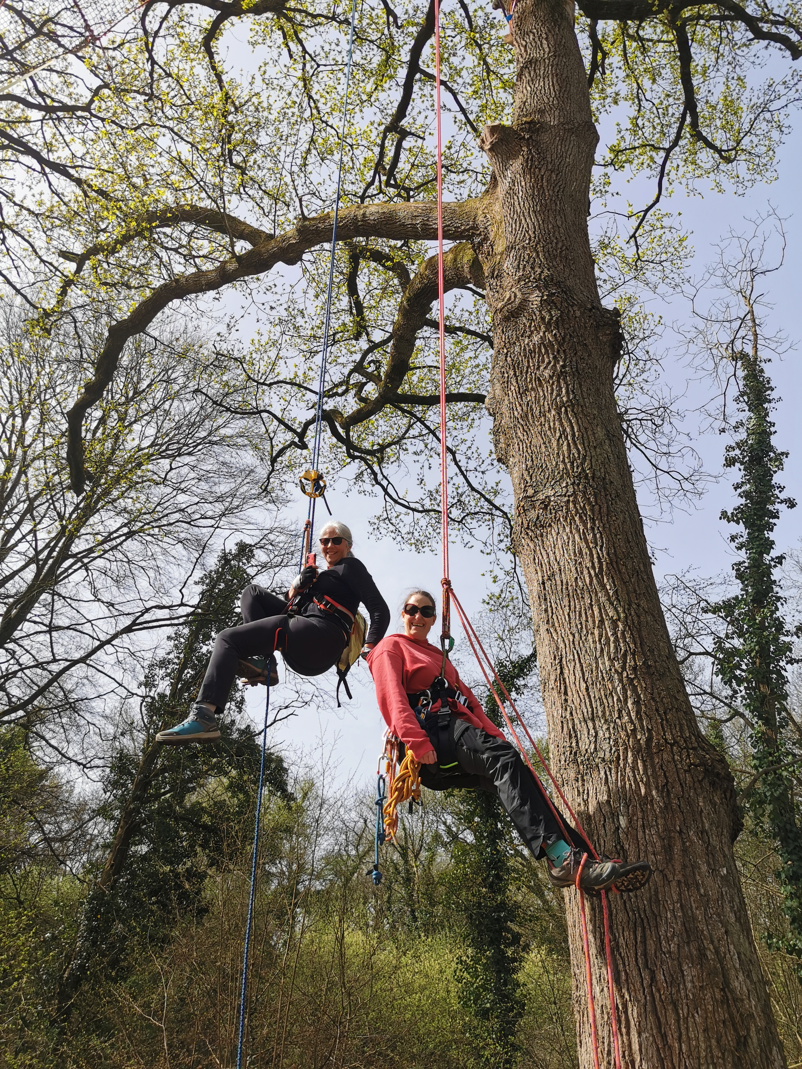 Balade arborée grimpe d'arbre découverte nature Bretagne - Photo 2