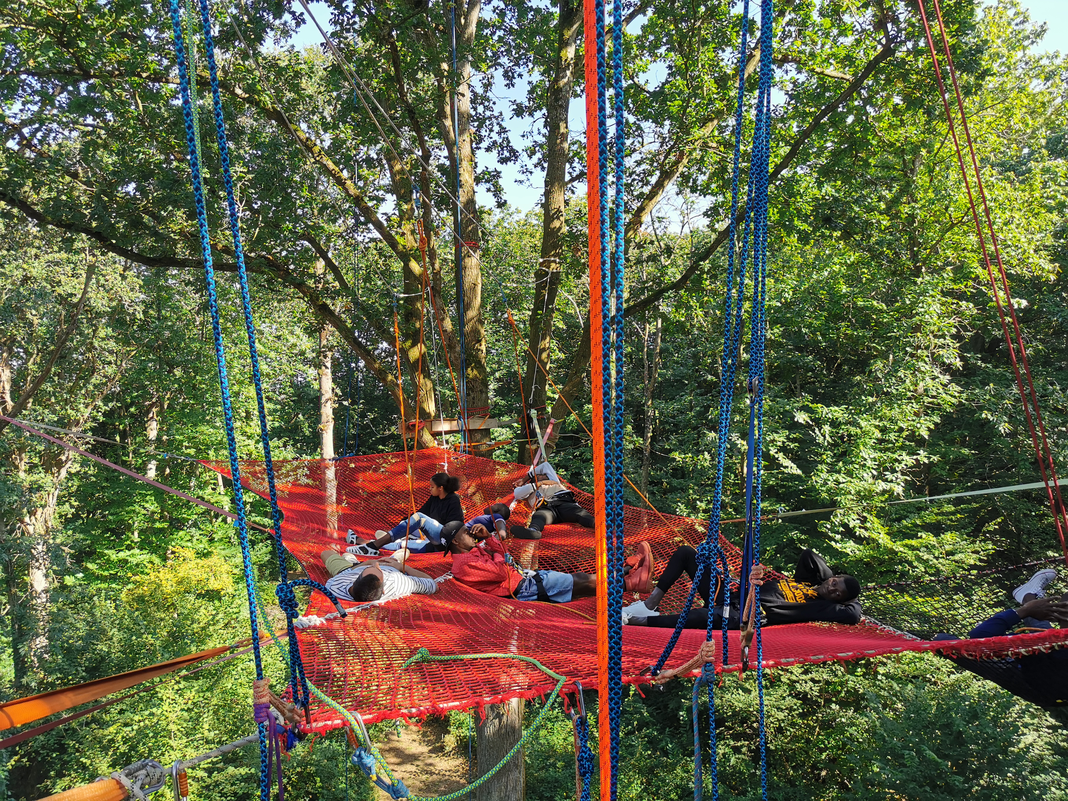 Balade arborée grimpe d'arbre découverte nature Bretagne - Photo 6