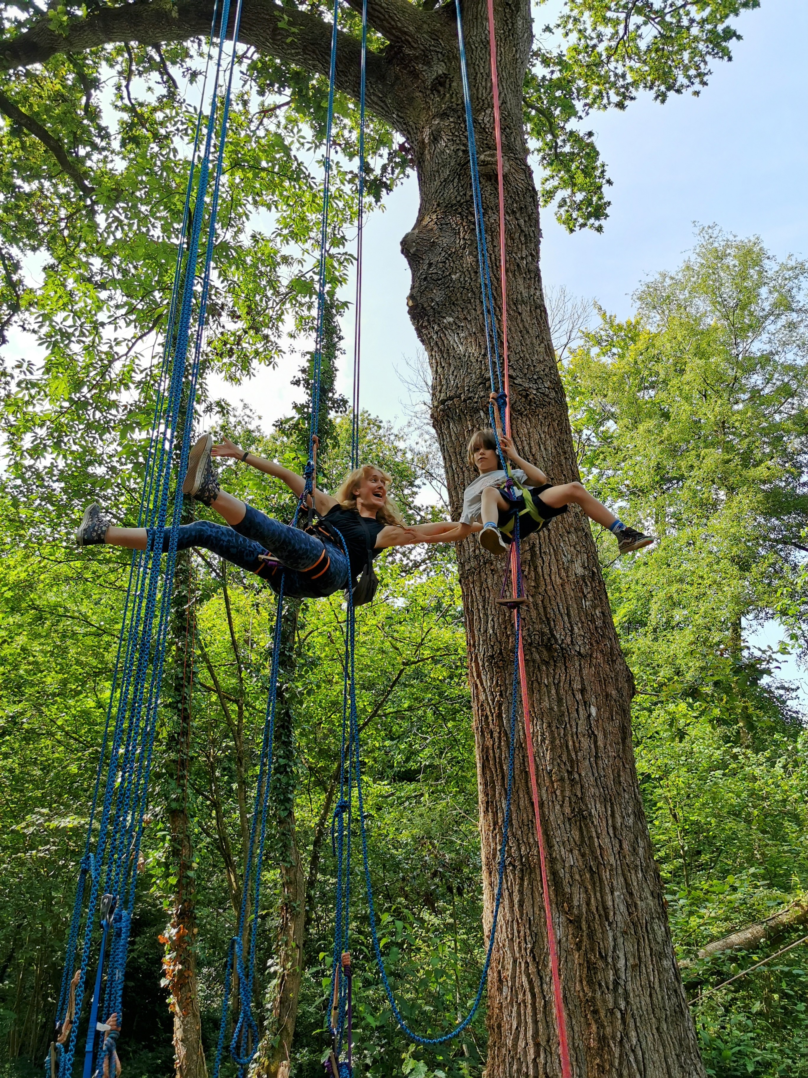 Balade arborée grimpe d'arbre découverte nature Bretagne - Photo 7
