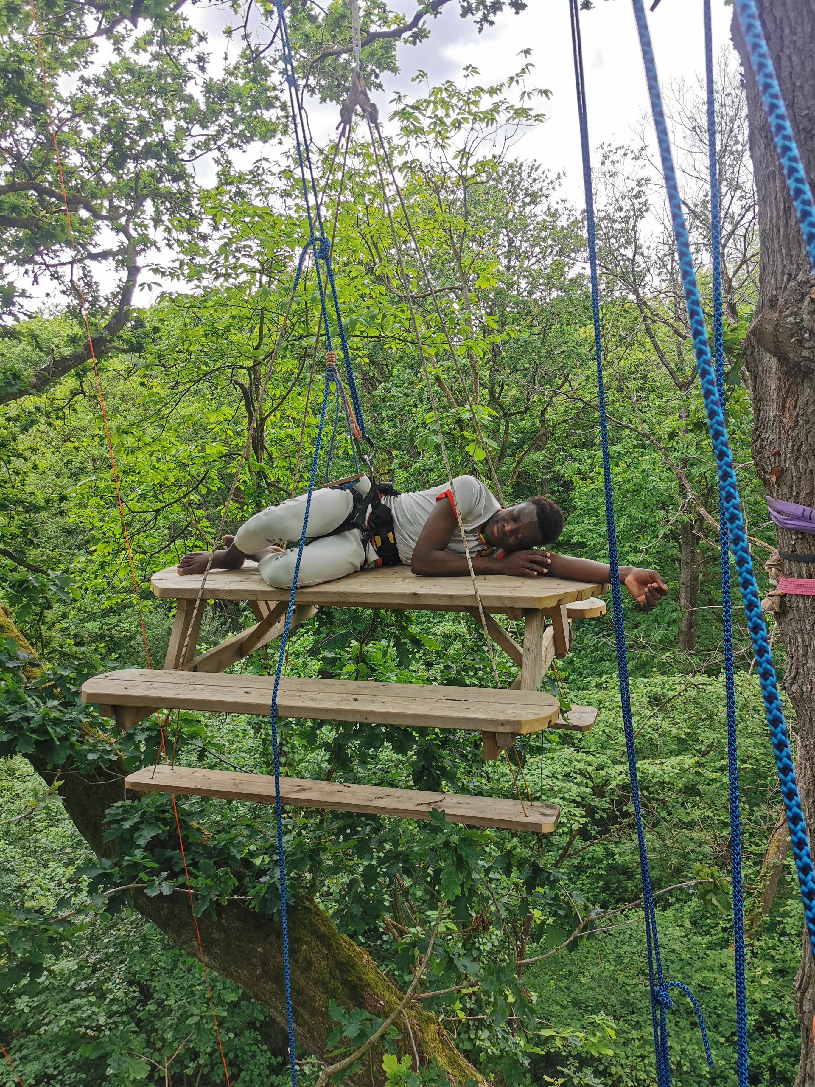 Balade arborée grimpe d'arbre découverte nature Bretagne - Photo 10
