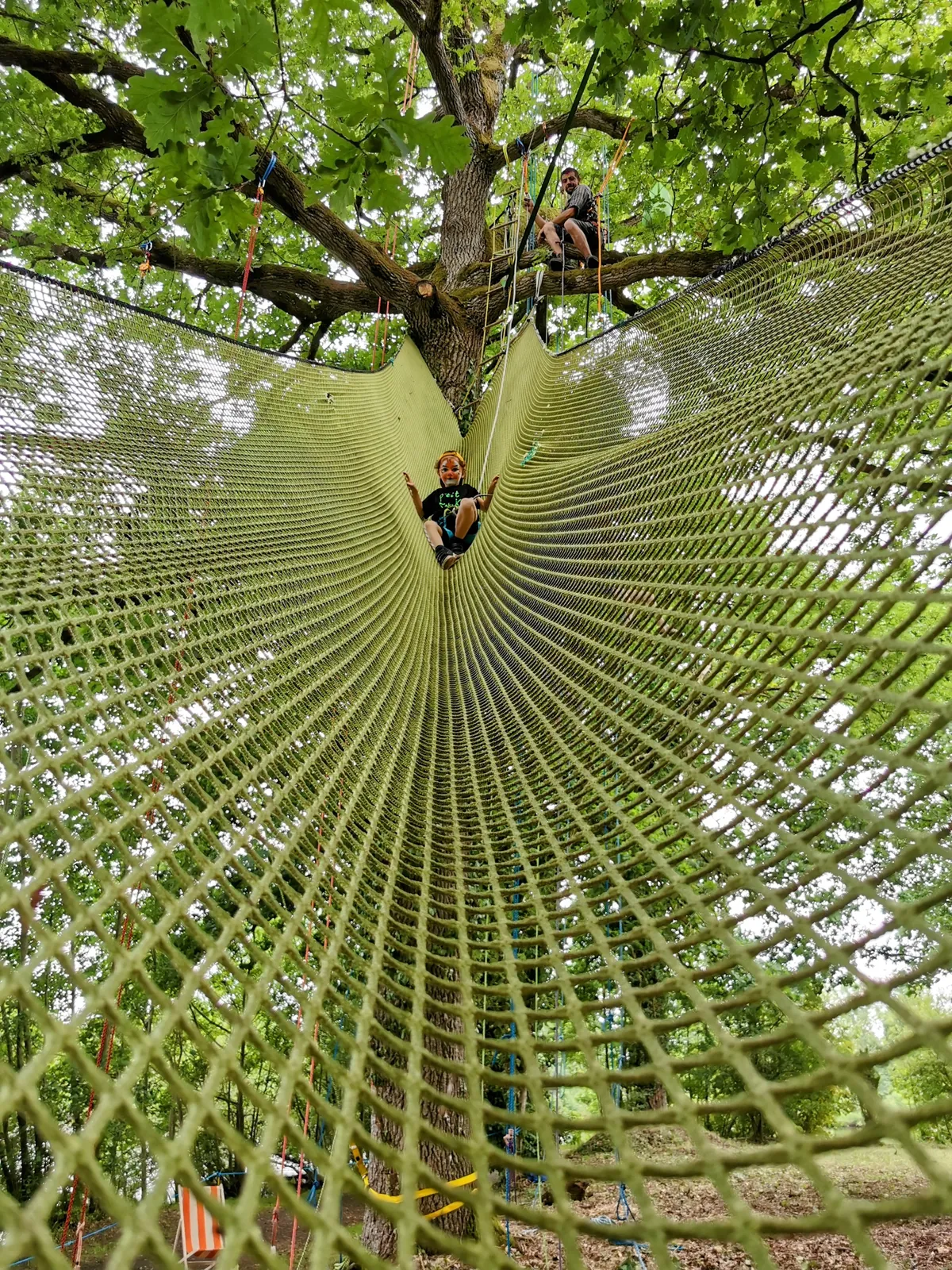Grimpe d'arbre collectivités entreprises Bretagne - Photo 5