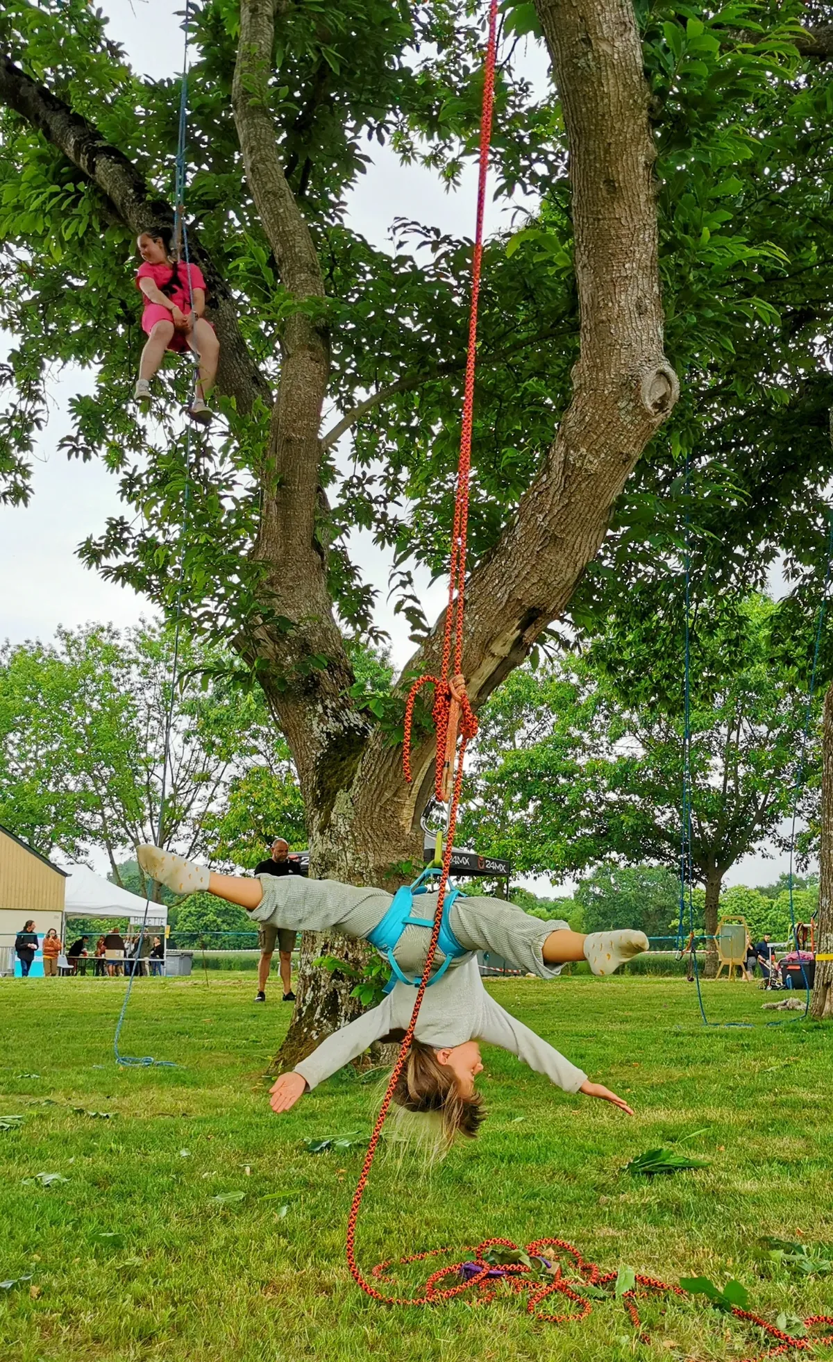 Grimpe d'arbre collectivités entreprises Bretagne - Photo 7