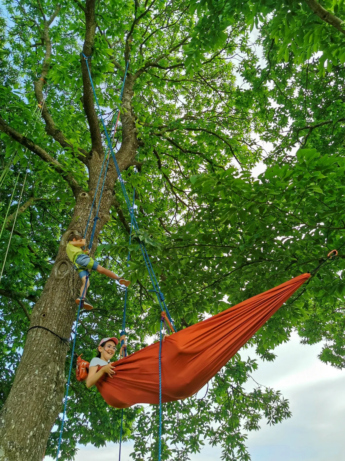 Grimpe d'arbre collectivités entreprises Bretagne - Photo 8