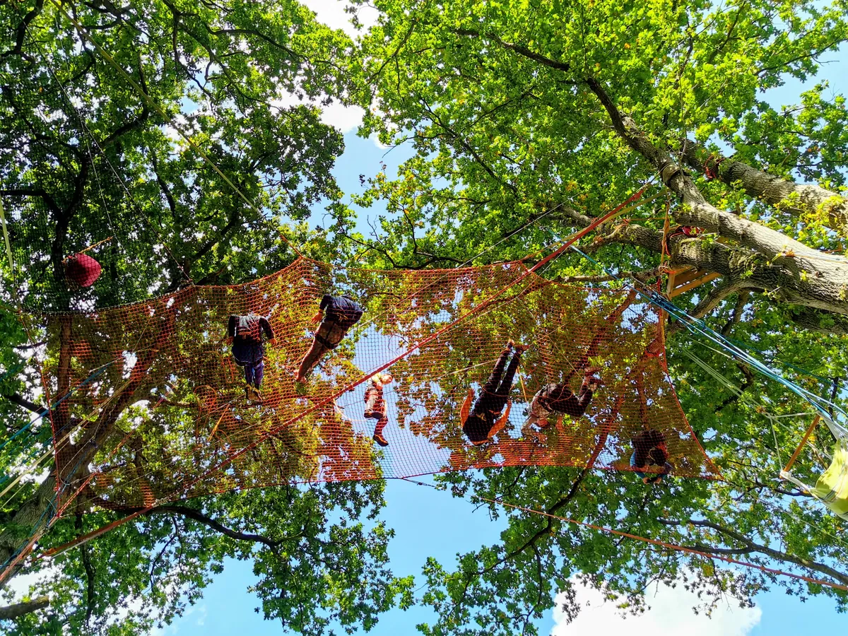 Atelier thérapeutique grimpe d'arbre handigrimpeurs Bretagne - Photo 2