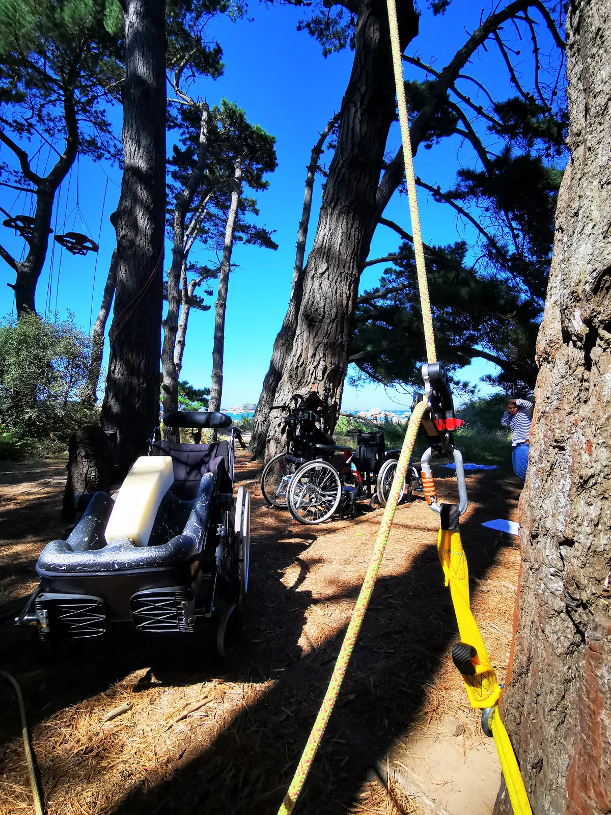 Atelier thérapeutique grimpe d'arbre handigrimpeurs Bretagne - Photo 5