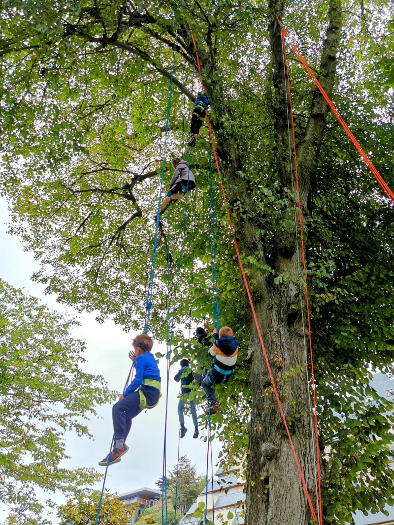 Animations grimpe d'arbre pour événements et manifestations - collectivités et associations en Bretagne