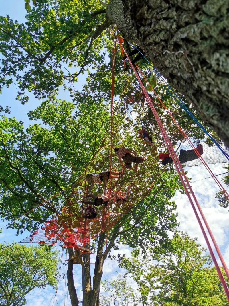 Team building et séminaires en grimpe d'arbres - activité nature pour entreprises en Bretagne