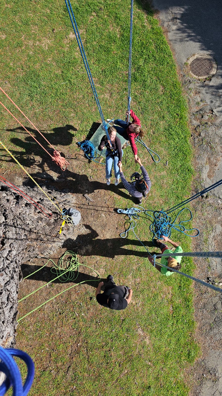 Accrobranche Apéro Perché en Bretagne