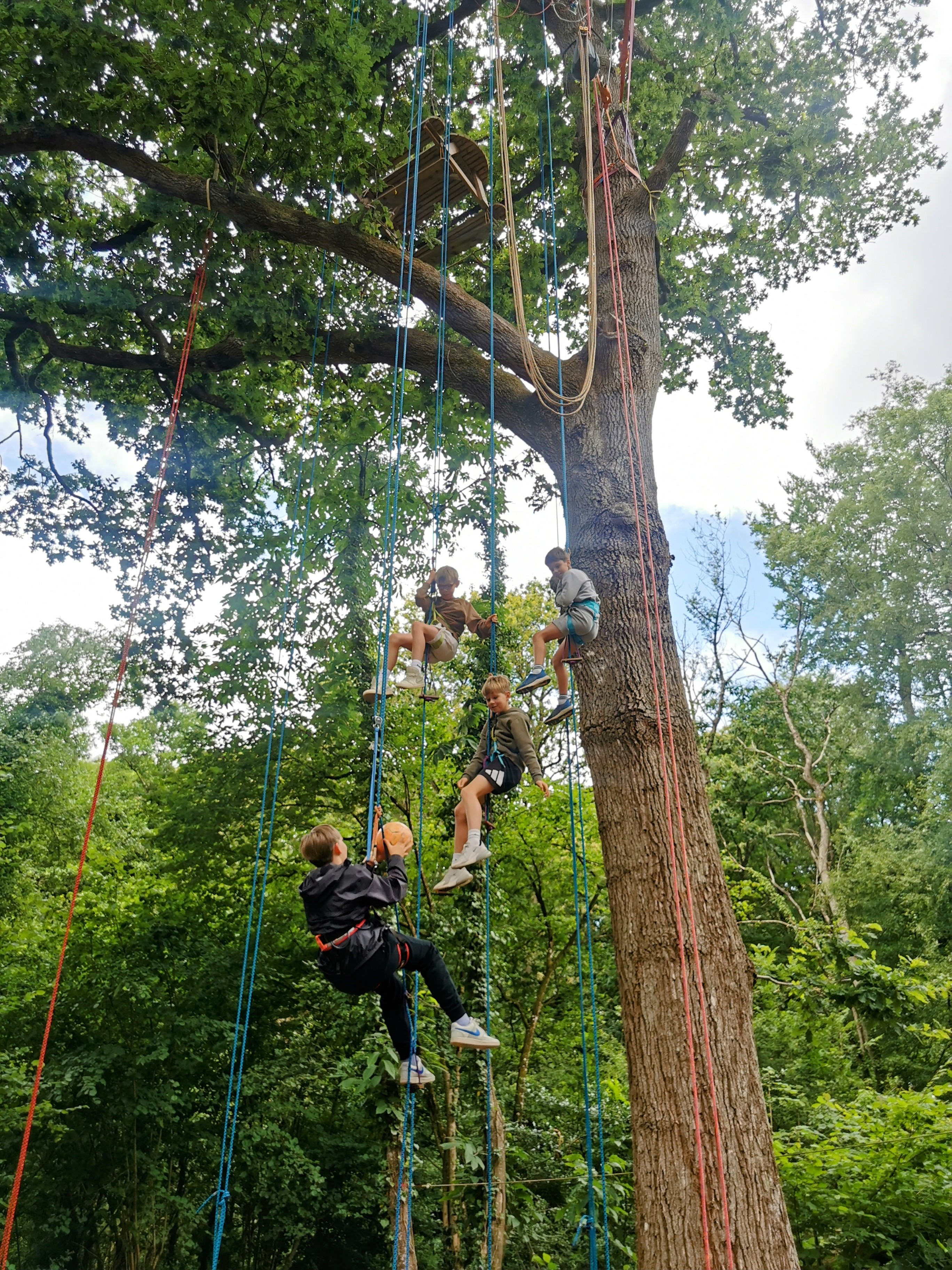 Aventure en hauteur anniversaire enfant grimpe d'arbre Beaussais-sur-Mer - Tyrolienne et ateliers spectaculaires Bretagne