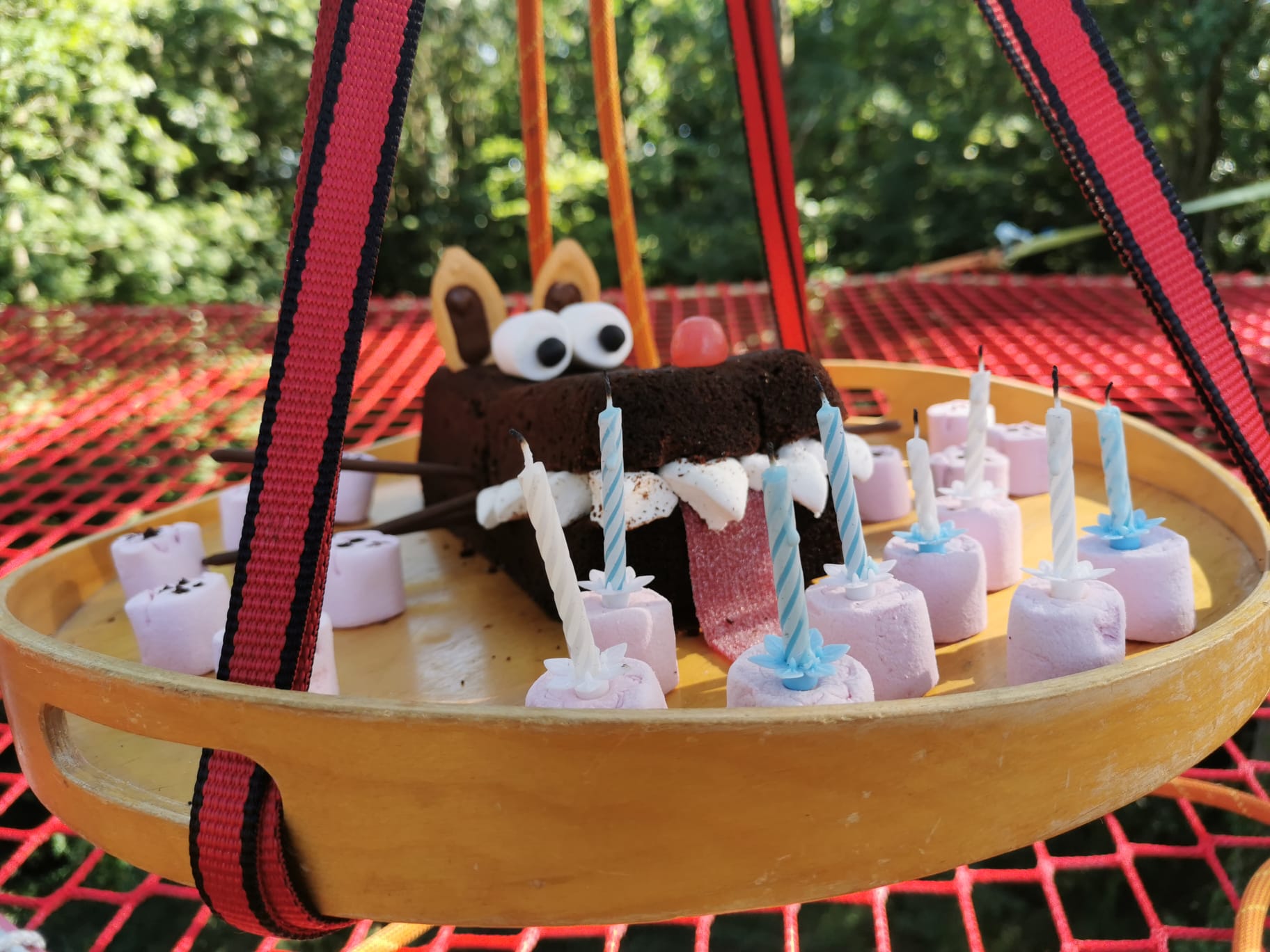 Enfants fêtant anniversaire perché avec gâteau à 14m de hauteur grimpe d'arbre Beaussais-sur-Mer Bretagne