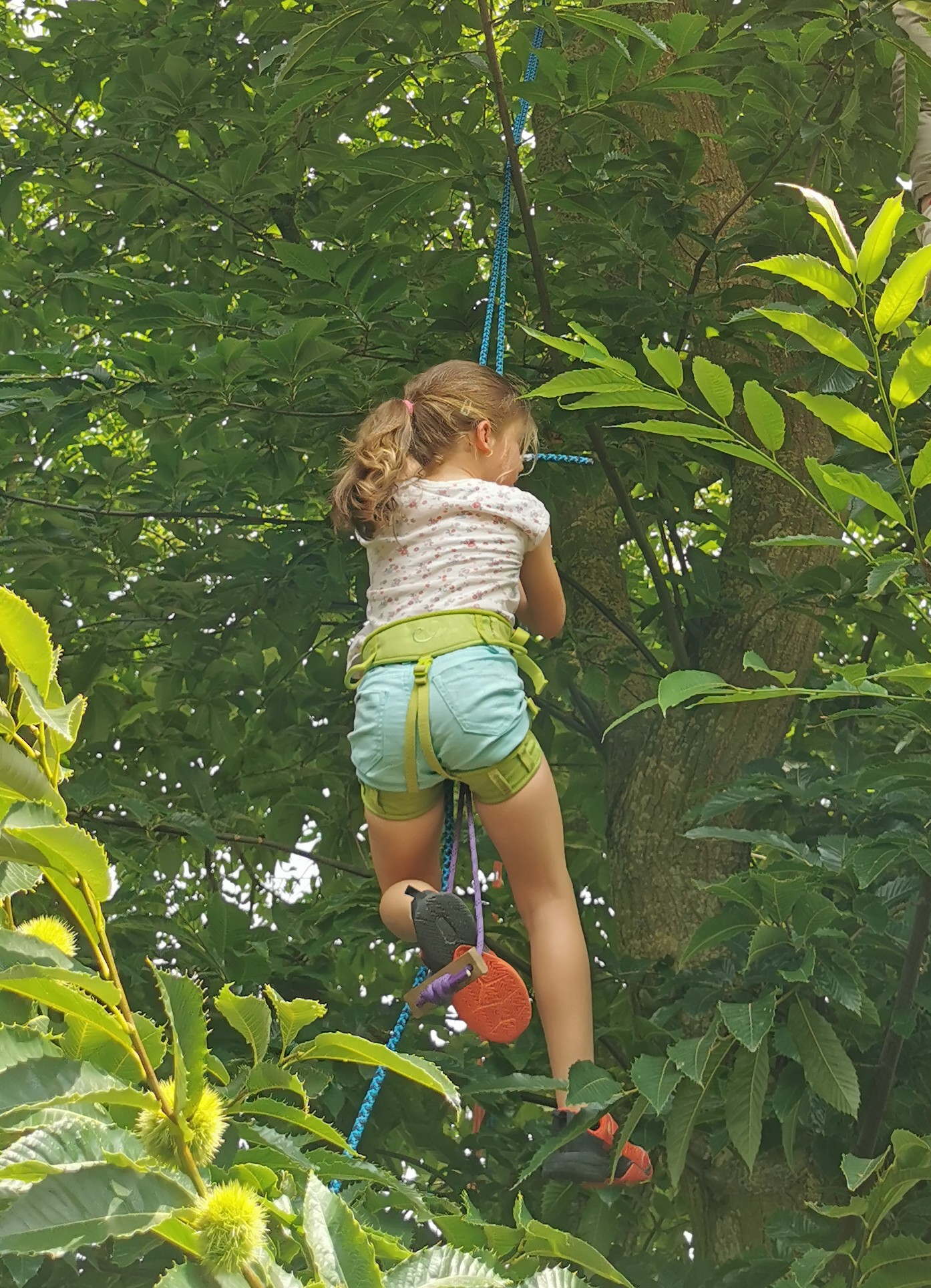ALSH grimpe arbre enfants - Centre de loisirs Beaussais-sur-Mer, Bretagne, Côtes-d'Armor