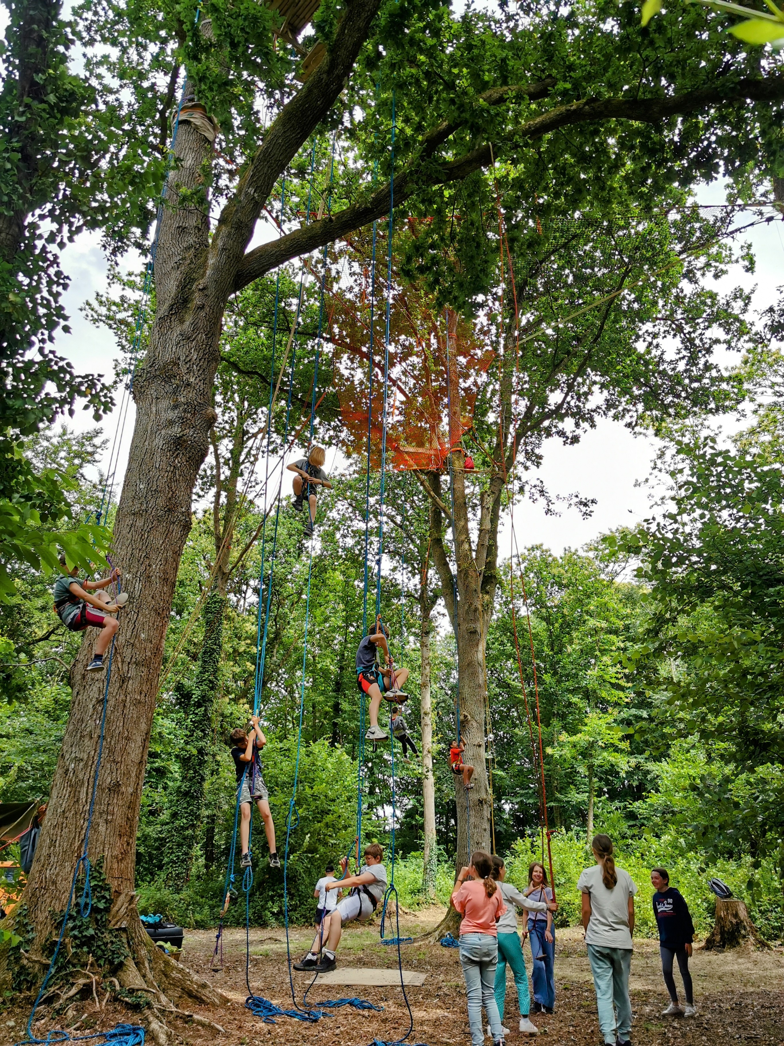 Animation pédagogique ACM grimpe arbre - Accueil Collectif Mineurs Bretagne, Côtes-d'Armor