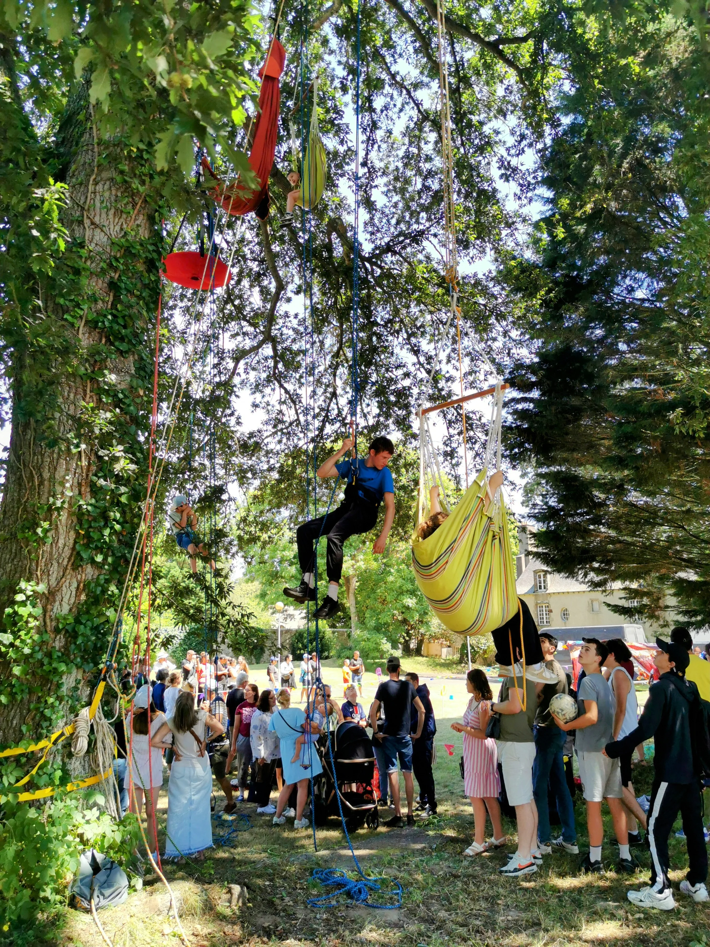 Manifestation culturelle grimpe d'arbre - Bretagne