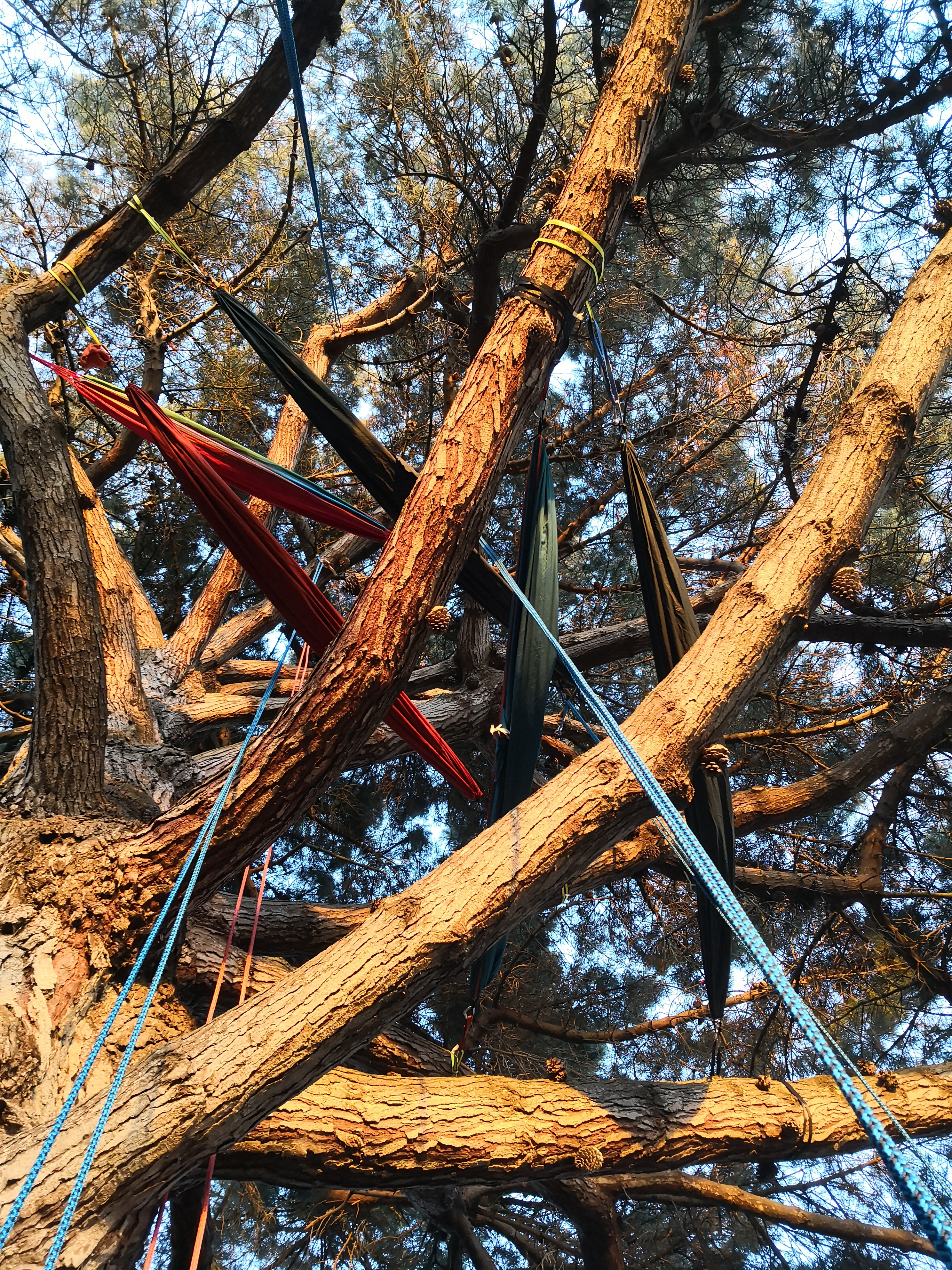 Hébergement insolite nuit perchée avec grimpe d'arbre petit-déjeuner inclus - Bivouac suspendu filet géant Bretagne