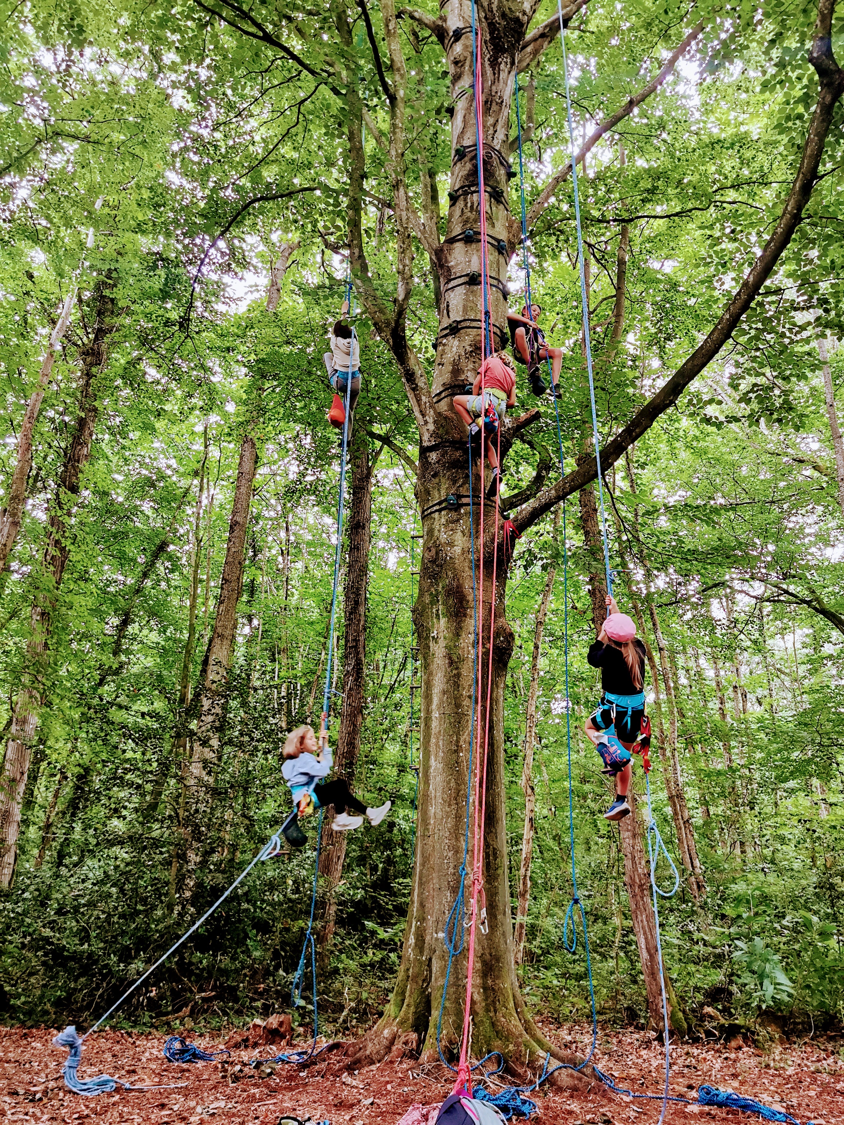 Jeune grimpeur en autonomie dans les hauteurs stage enfant Beaussais-sur-Mer - Confiance et dépassement de soi
