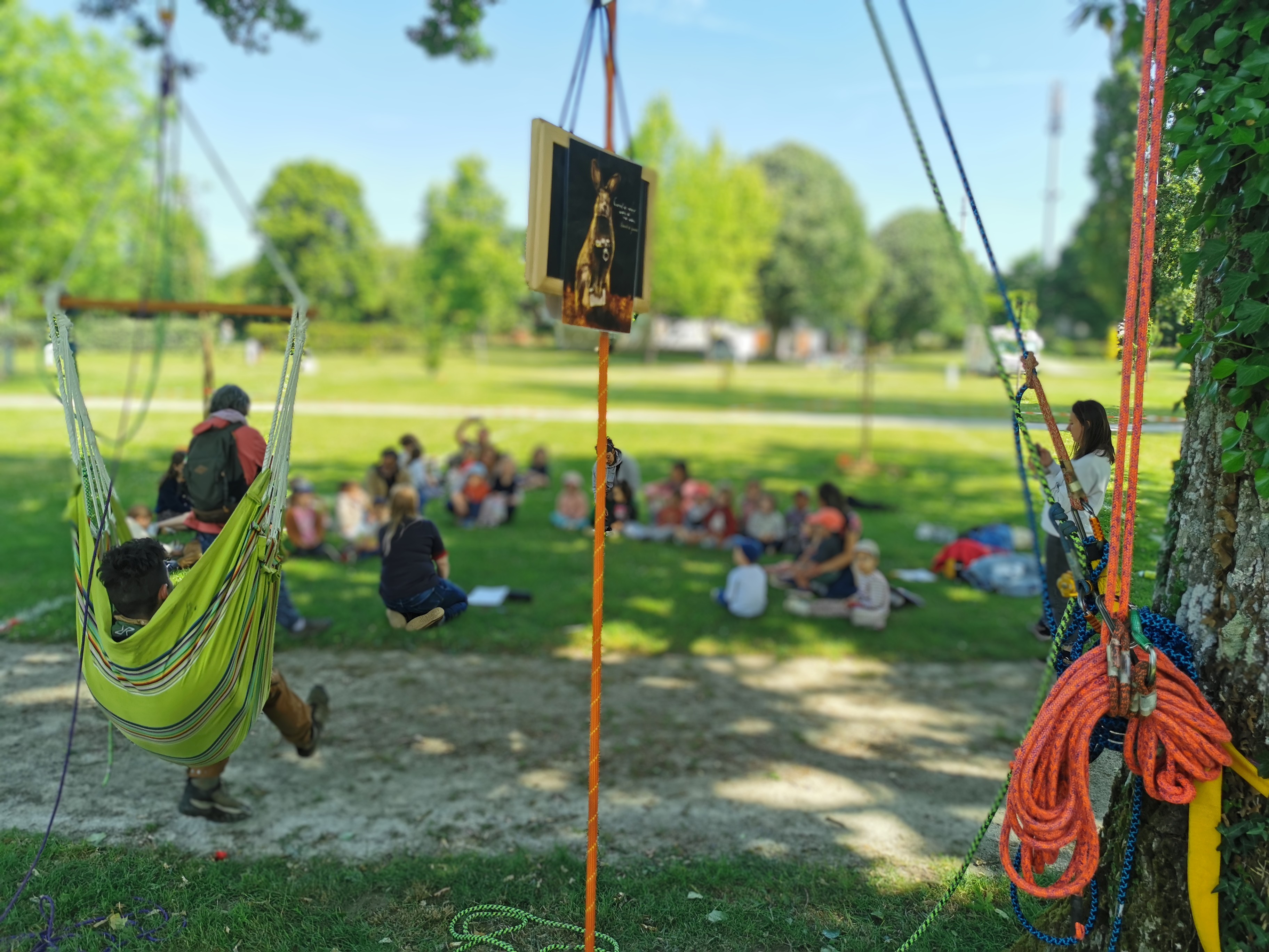 Sortie scolaire grimpe d'arbre - groupe élèves avec matériel pédagogique Bretagne