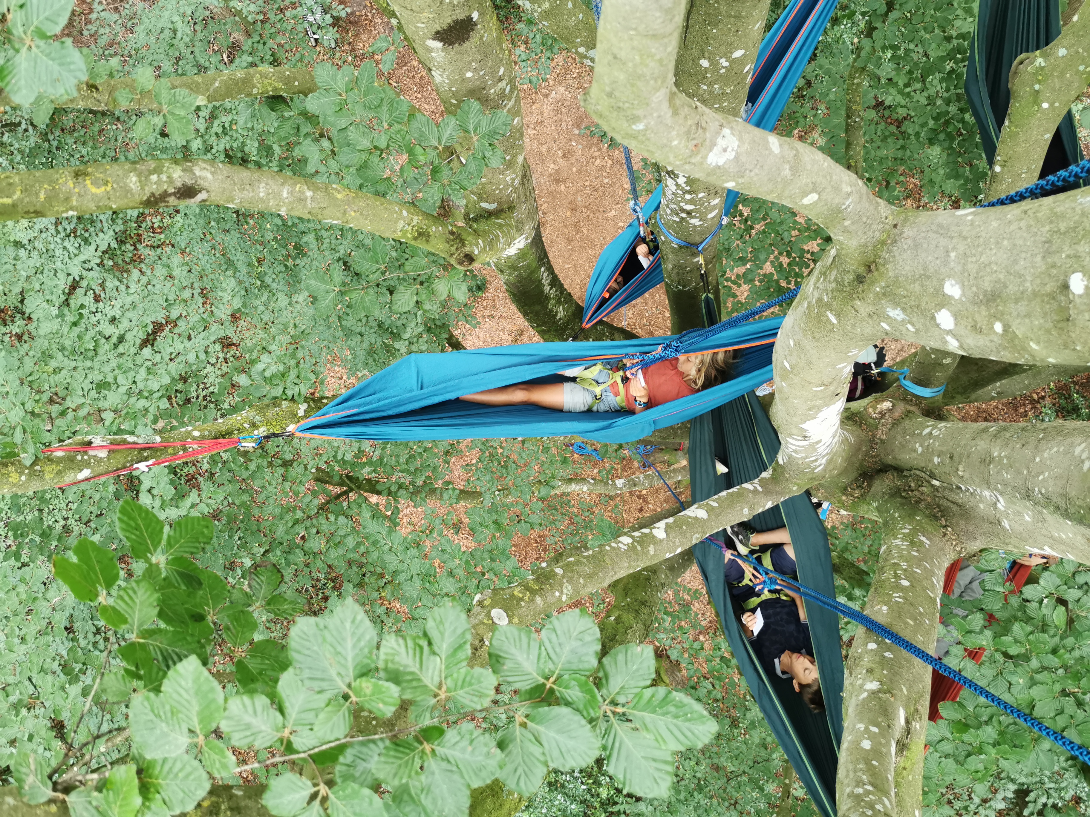 Stage aventure enfant - hamac suspendu et activités grimpe d'arbre pour les 8-14 ans